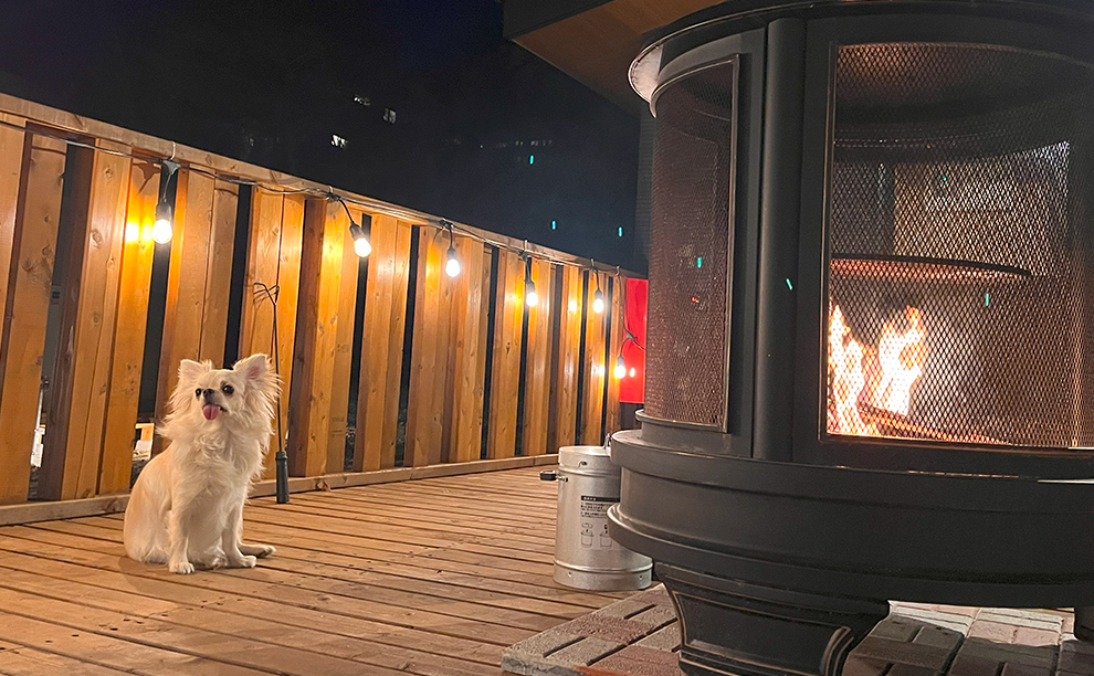 HANABUSA DOGlamping(公式写真10)