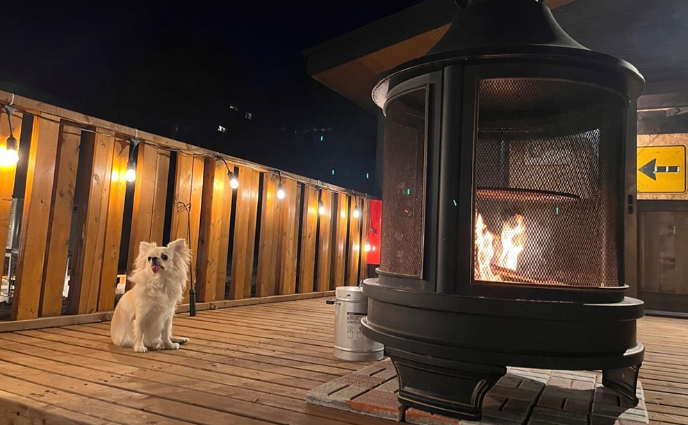 HANABUSA DOGlamping(公式写真20)
