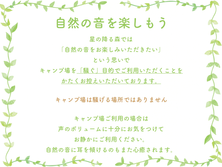 星の降る森(公式写真20)