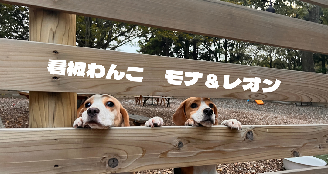 十楽の森(公式写真11)