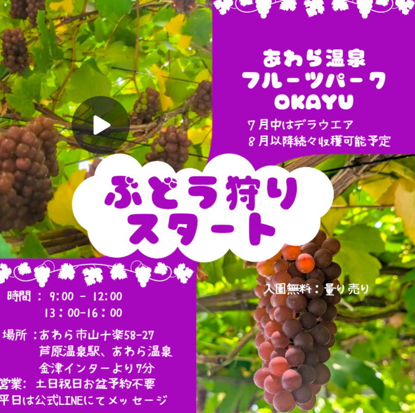 十楽の森(公式写真21)
