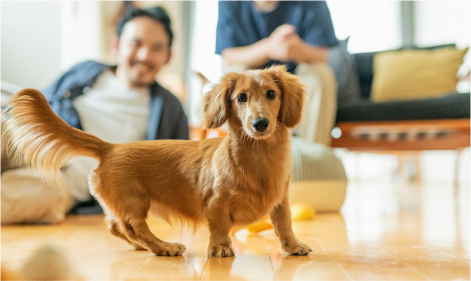 かなたのさと(公式写真3)