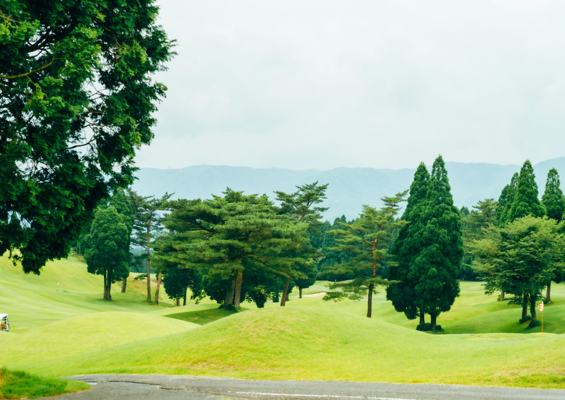 KOSUGI RESORT(公式写真8)