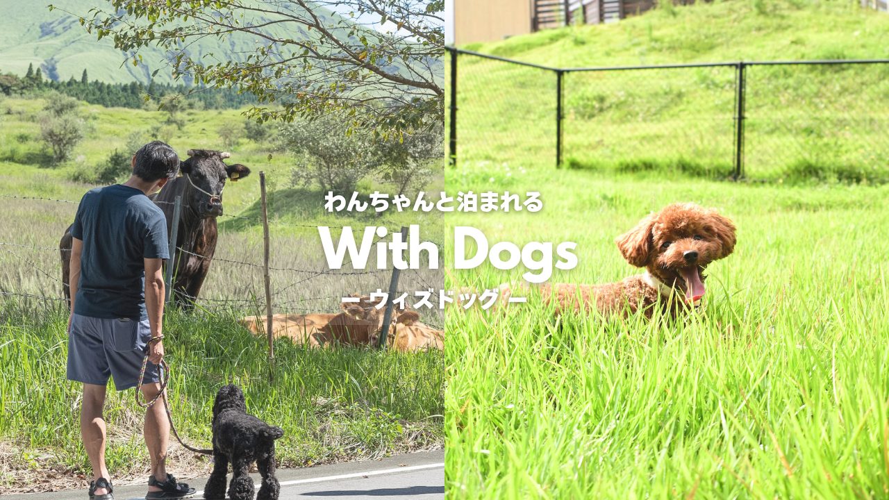 KOSUGI RESORT(公式写真15)