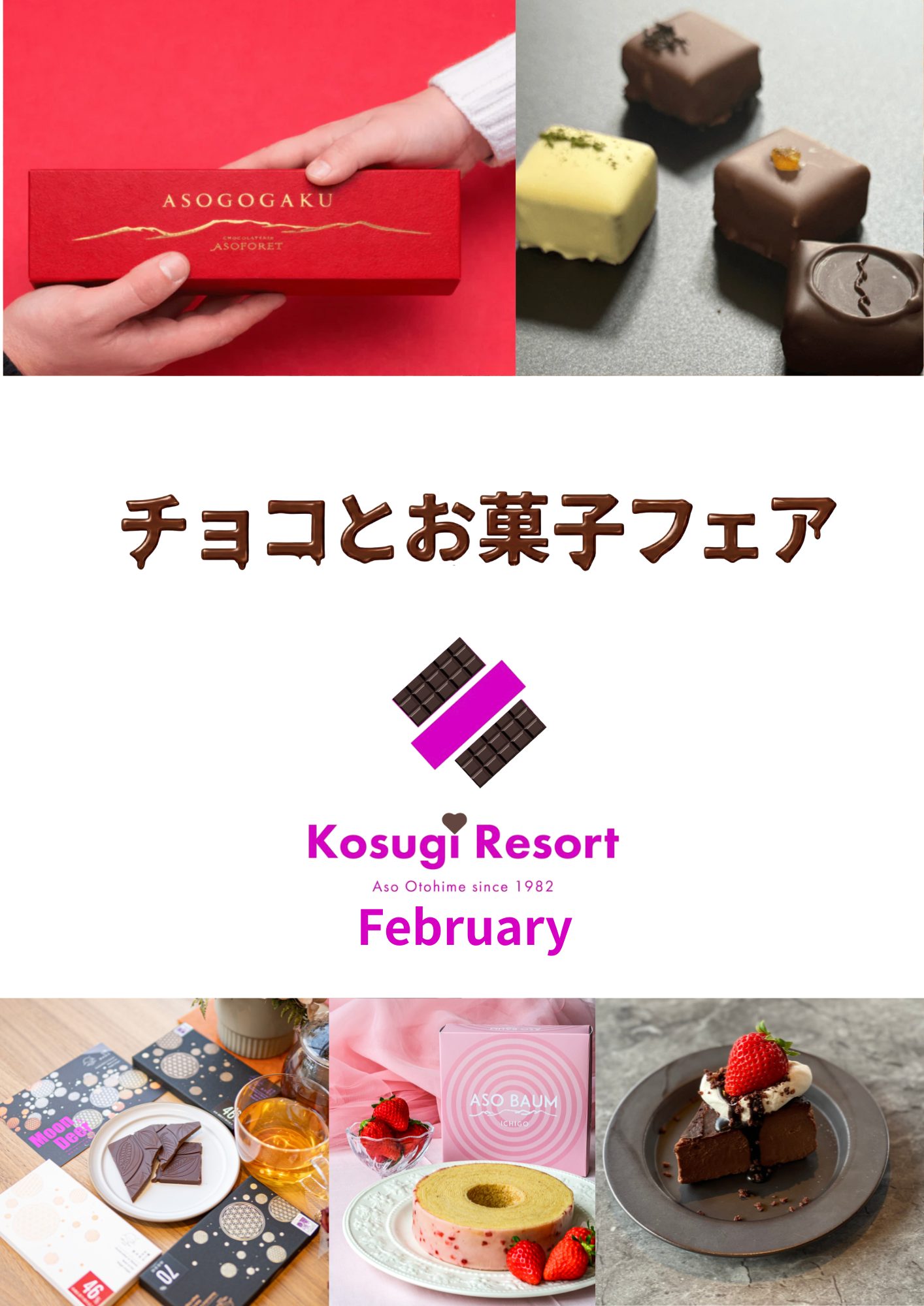 KOSUGI RESORT(公式写真17)