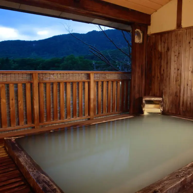蔵王温泉 松金屋アネックス(公式写真8)