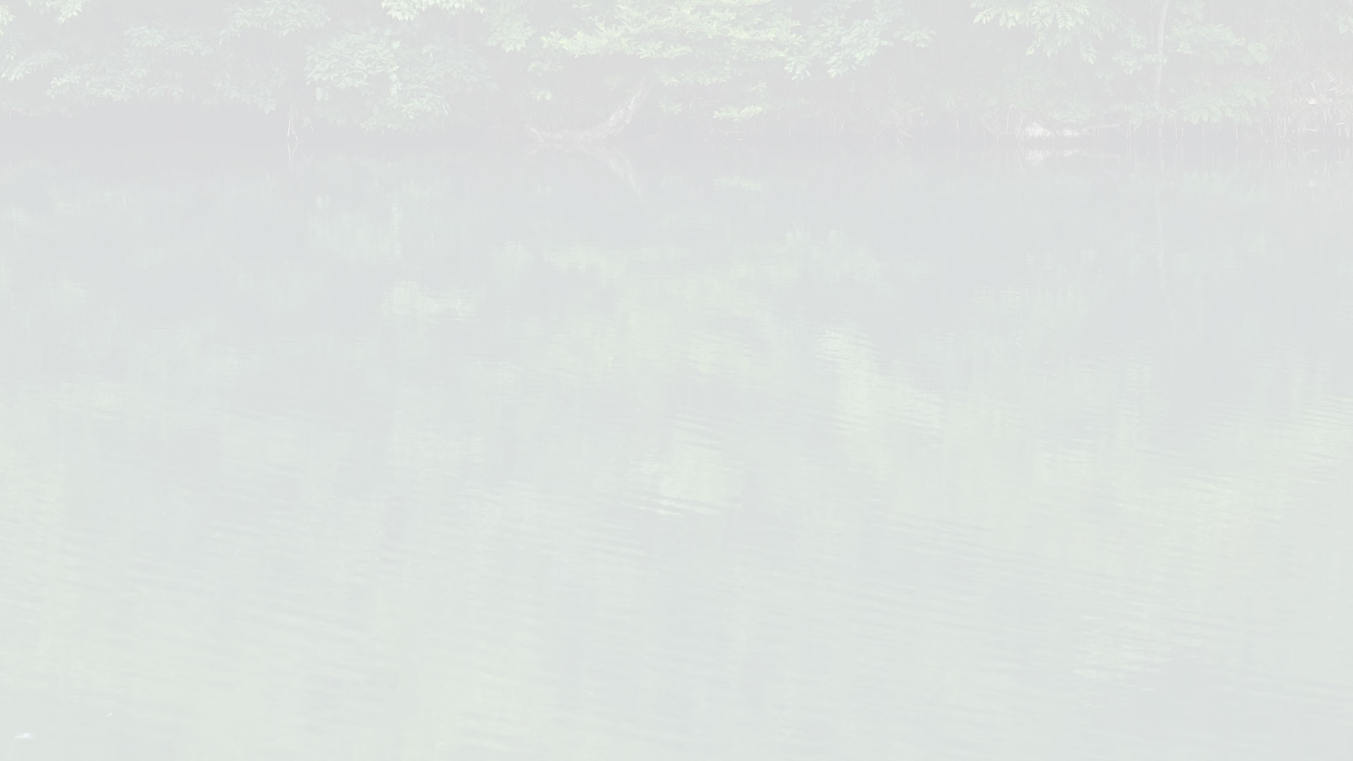水と風と月(公式写真3)
