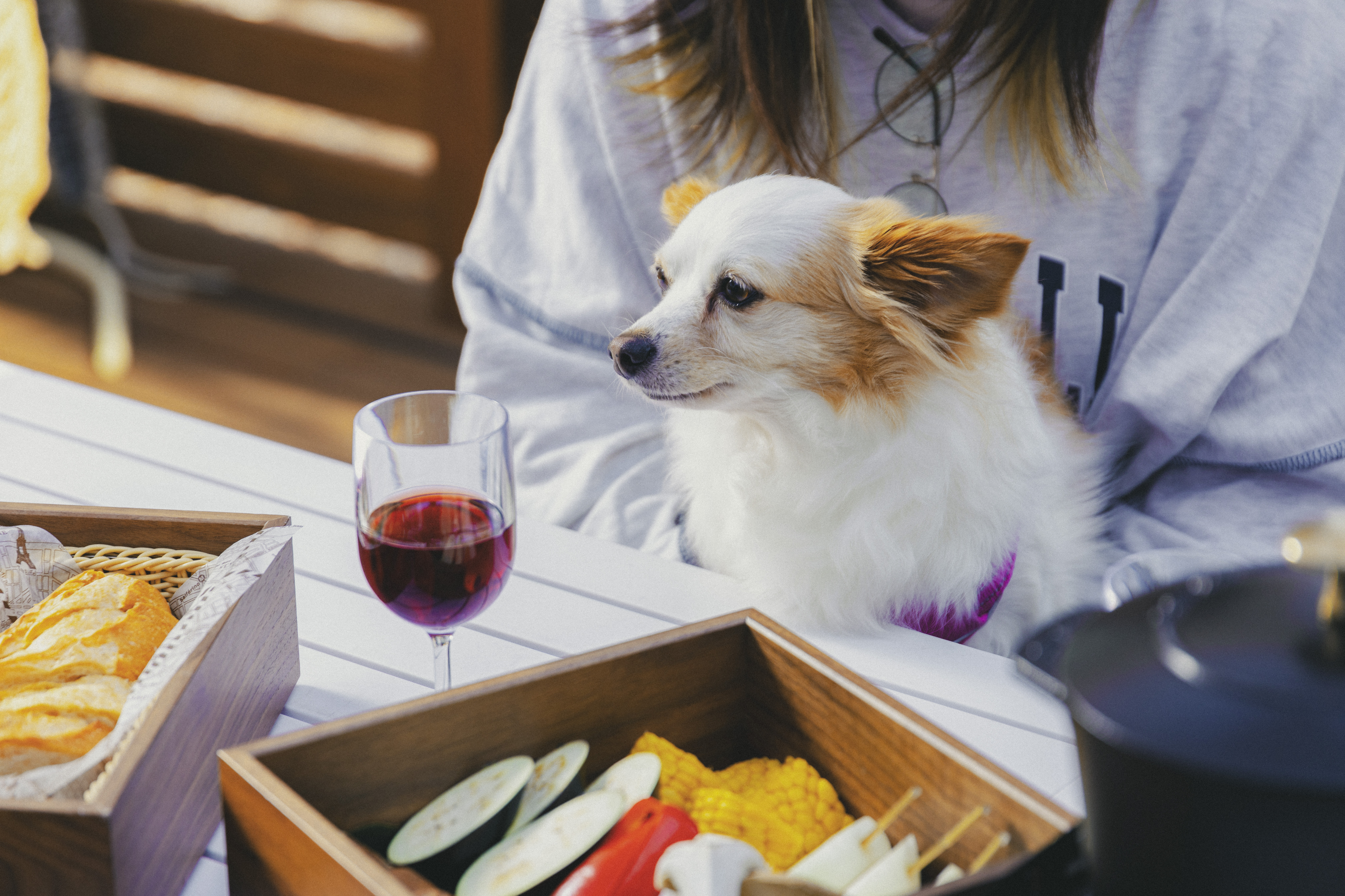 NAGI dog glamping ena(公式写真3)