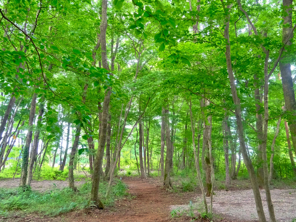 NAGOMI CAMP(公式写真6)