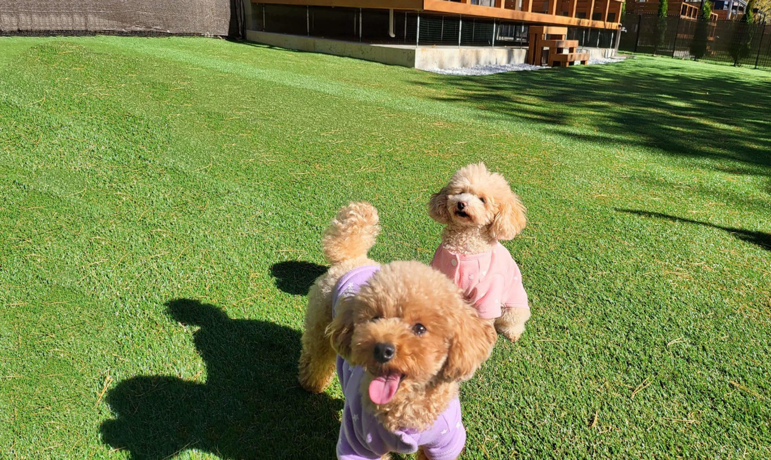 なごみリゾートRun八ヶ岳(公式写真7)