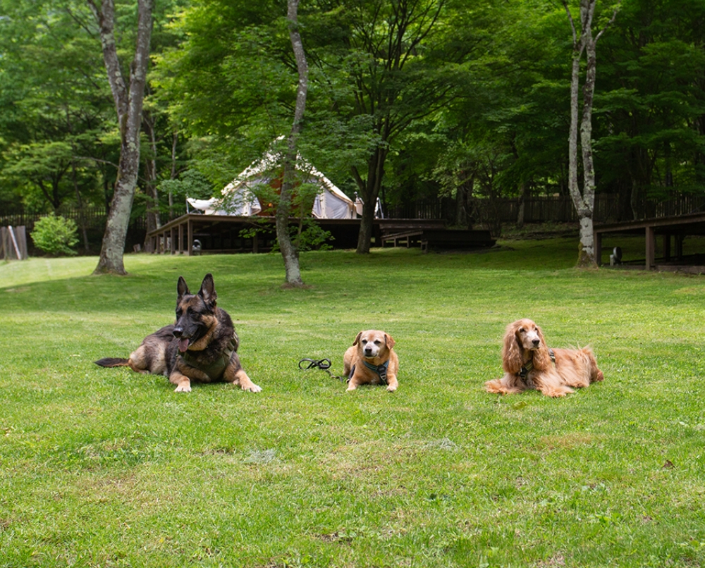 RITA'S RANCH 南軽井沢(公式写真2)