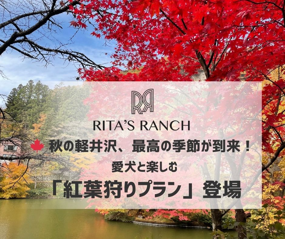 RITA'S RANCH 南軽井沢(公式写真4)