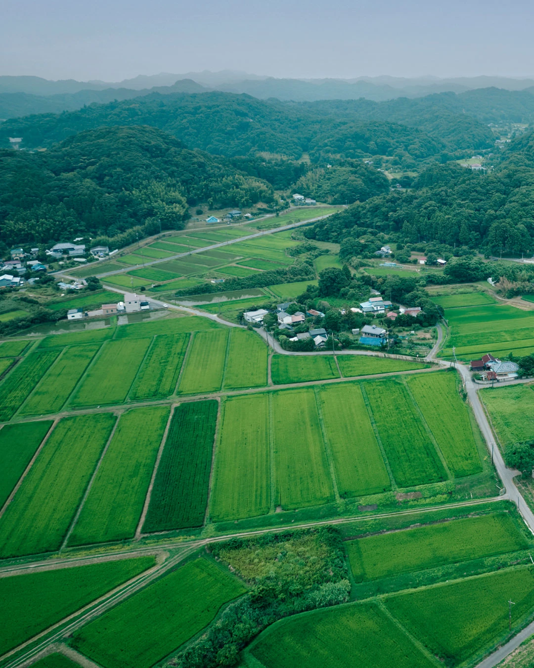 SATOYAMA TERRACE(公式写真6)