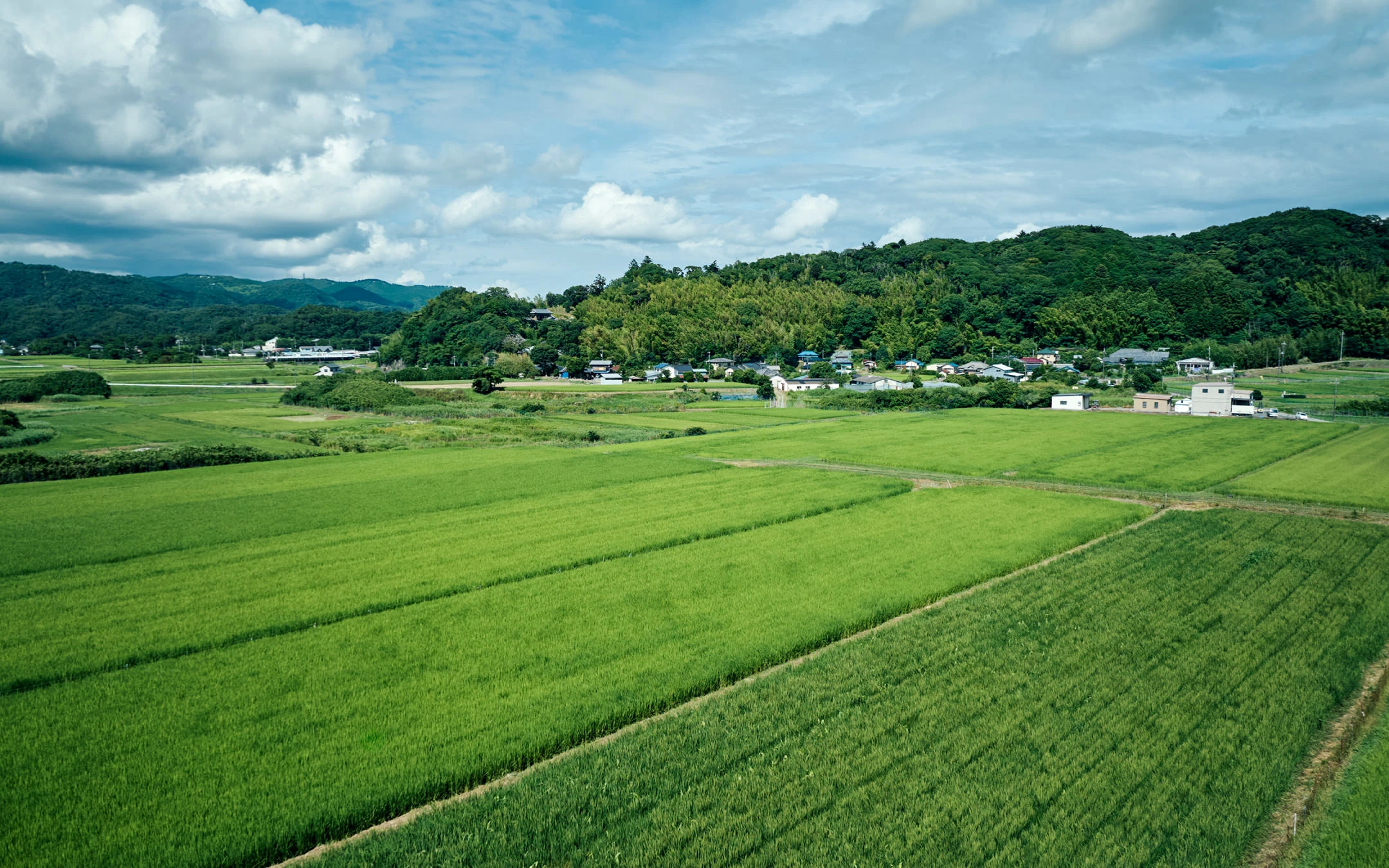 SATOYAMA TERRACE(公式写真7)