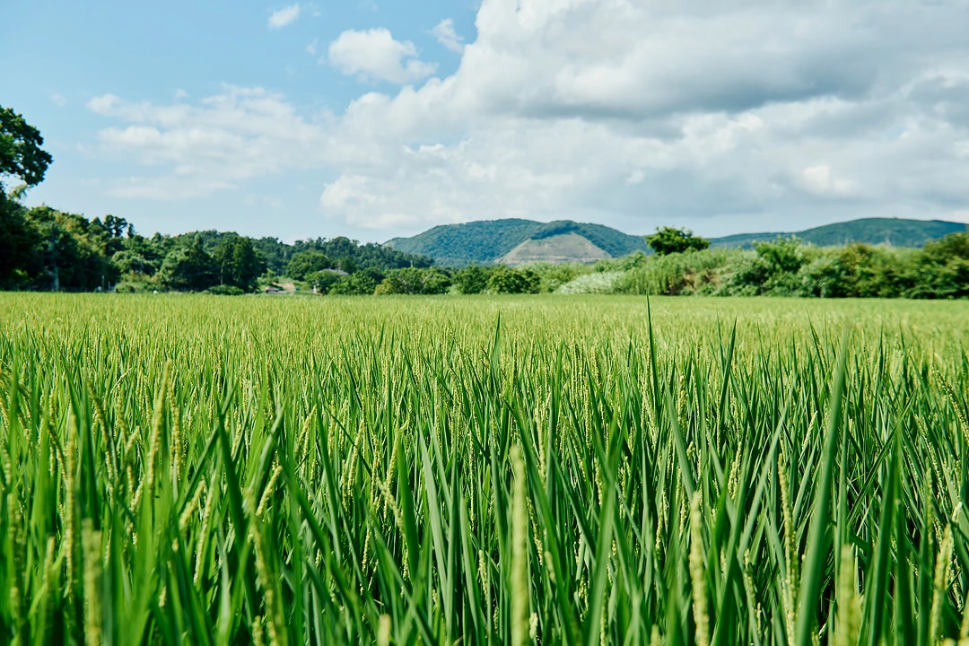 SATOYAMA TERRACE(公式写真8)