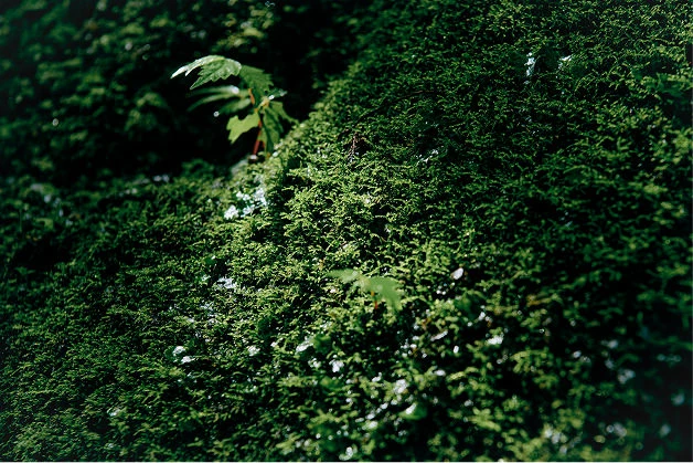 SATOYAMA TERRACE(公式写真12)