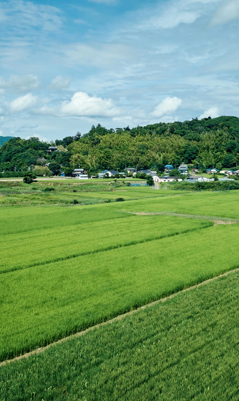 SATOYAMA TERRACE(公式写真21)