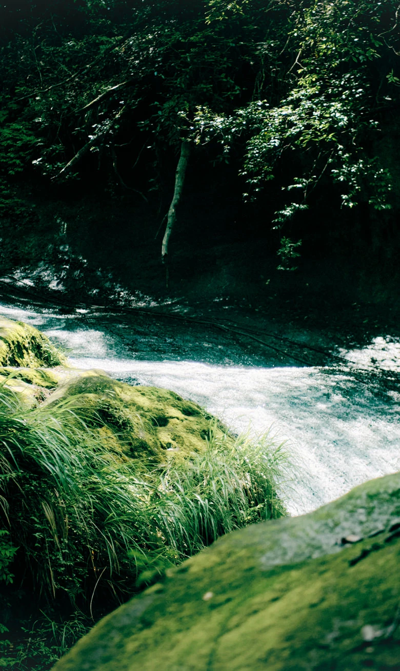 SATOYAMA TERRACE(公式写真22)