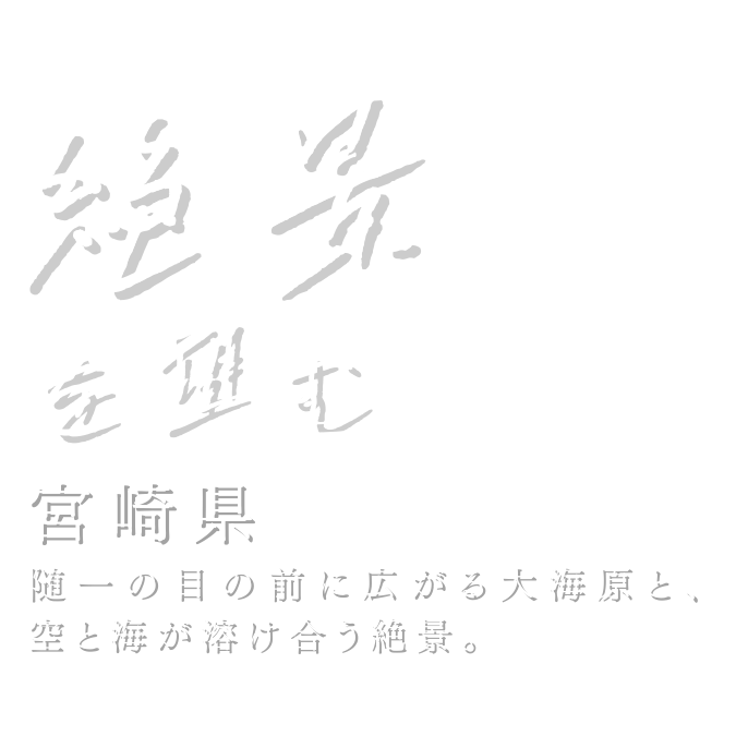 TOIGLAM SOLASITA(公式写真7)