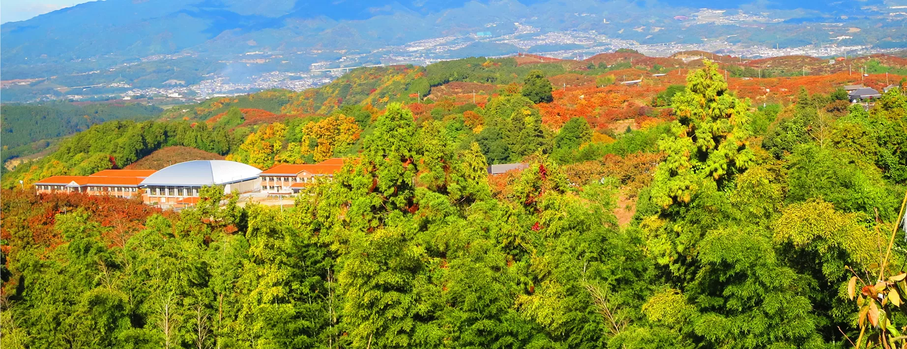 柳澤果樹園 こもれび