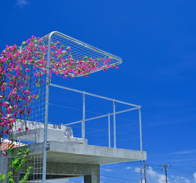 石垣ヒルズ(Ishigaki Hills)(公式写真18)