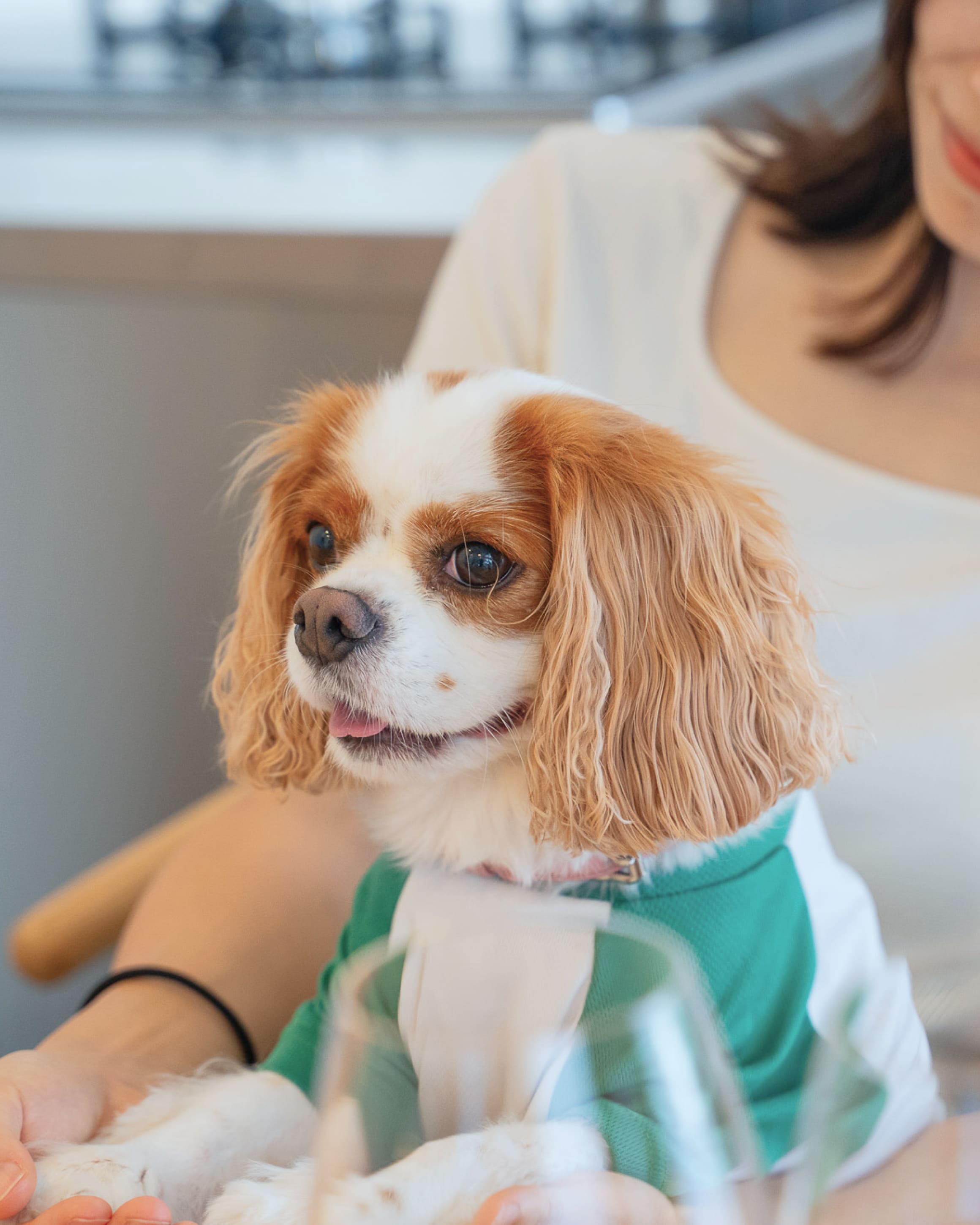 愛犬と貸切サウナヴィラ糸島(公式写真5)