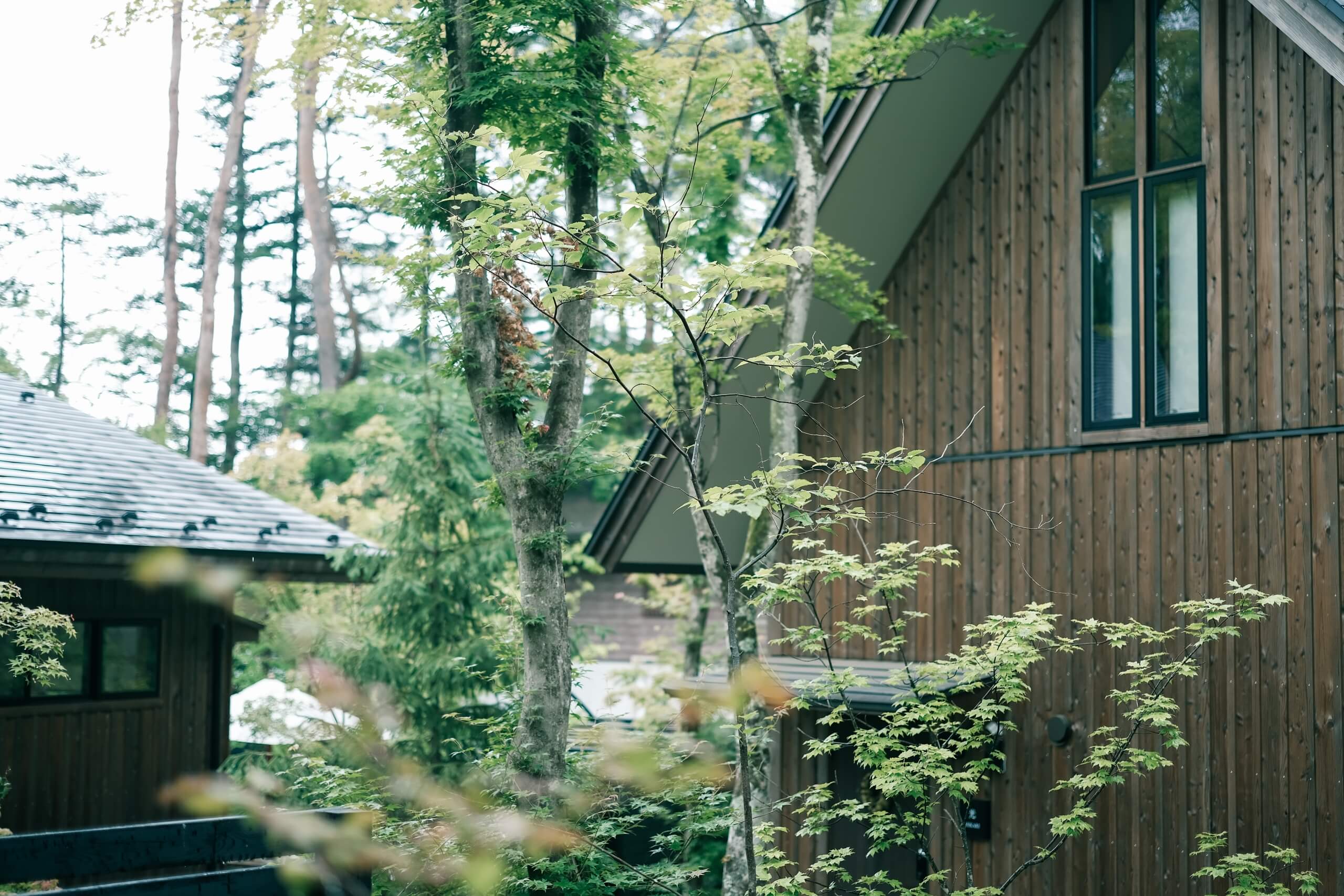 軽井沢森四季(もりしき)(公式写真4)