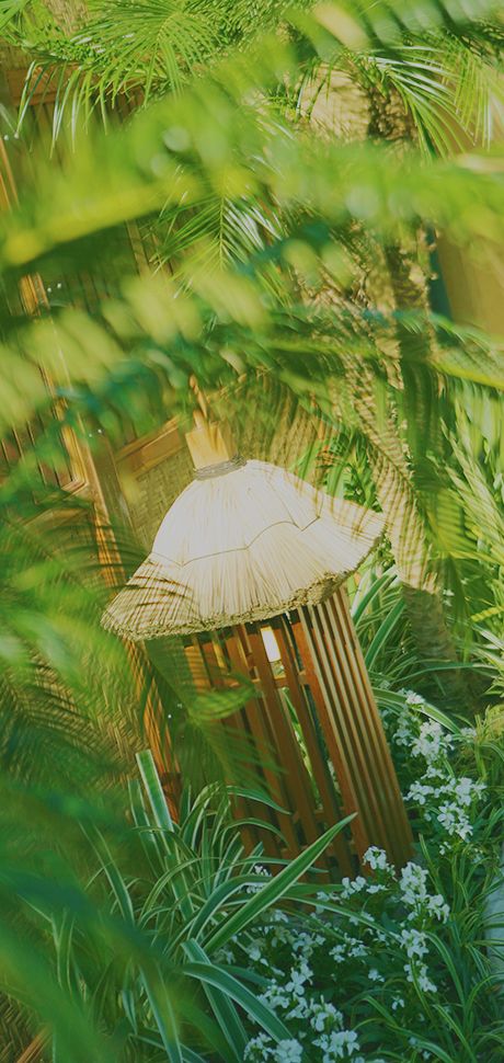 鴨川温泉 ONSEN&VILLAS LA SHORO(ラ･松廬)(公式写真8)