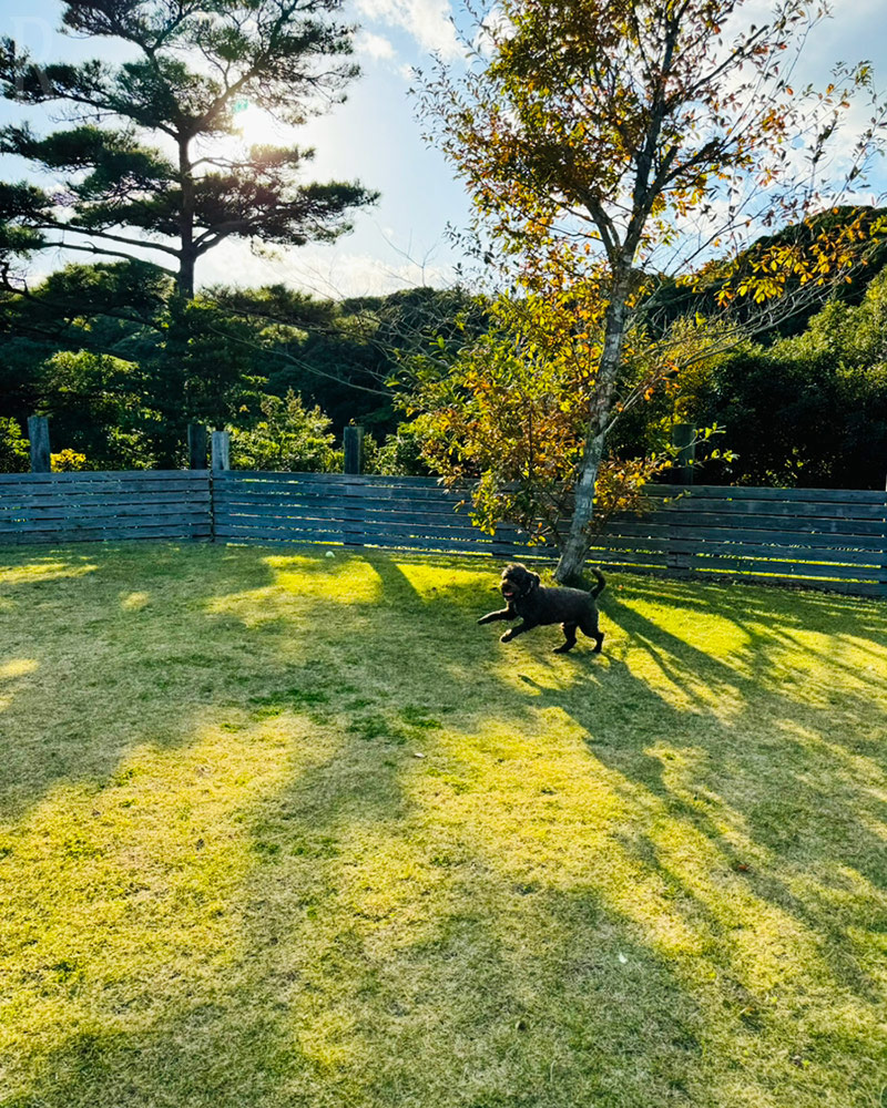 Lake Resort(公式写真9)
