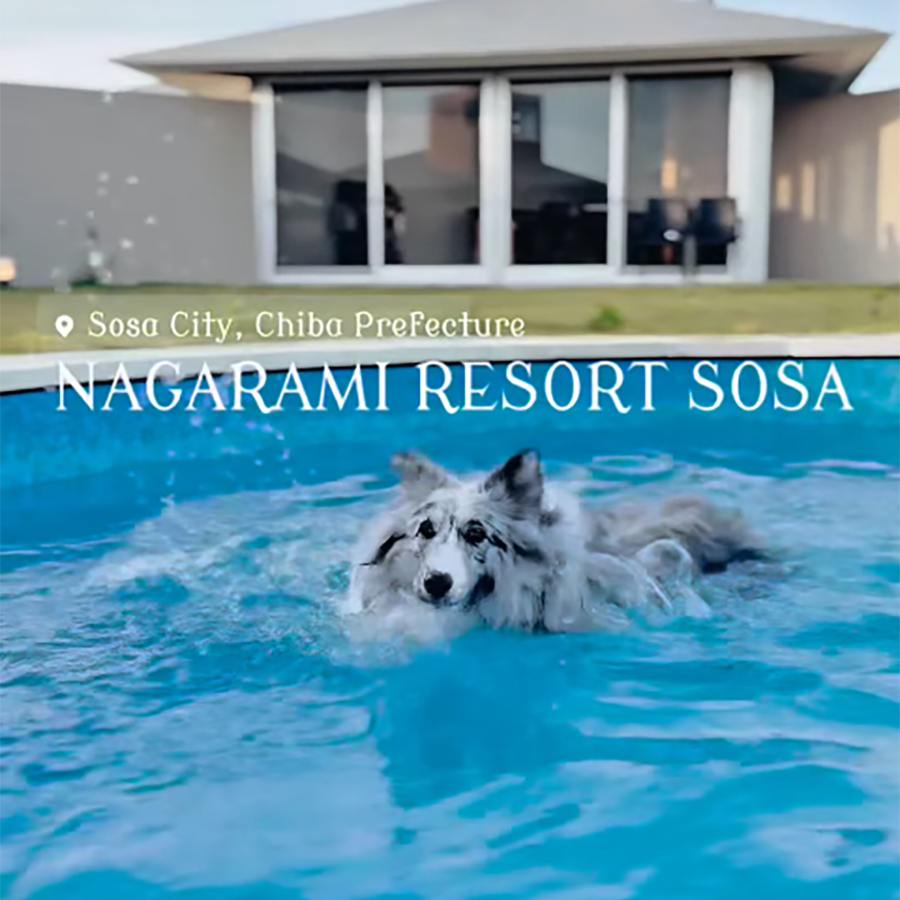 匝瑳 NAGARAMI RESORT SOSA(公式写真9)