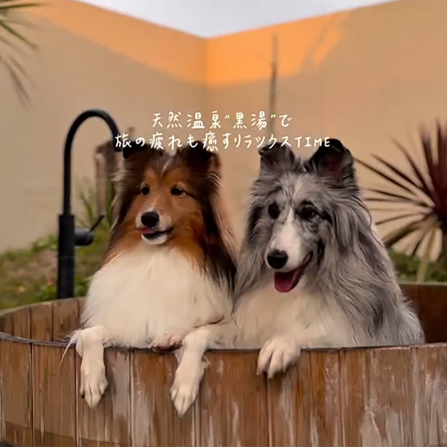 匝瑳 NAGARAMI RESORT SOSA(公式写真10)