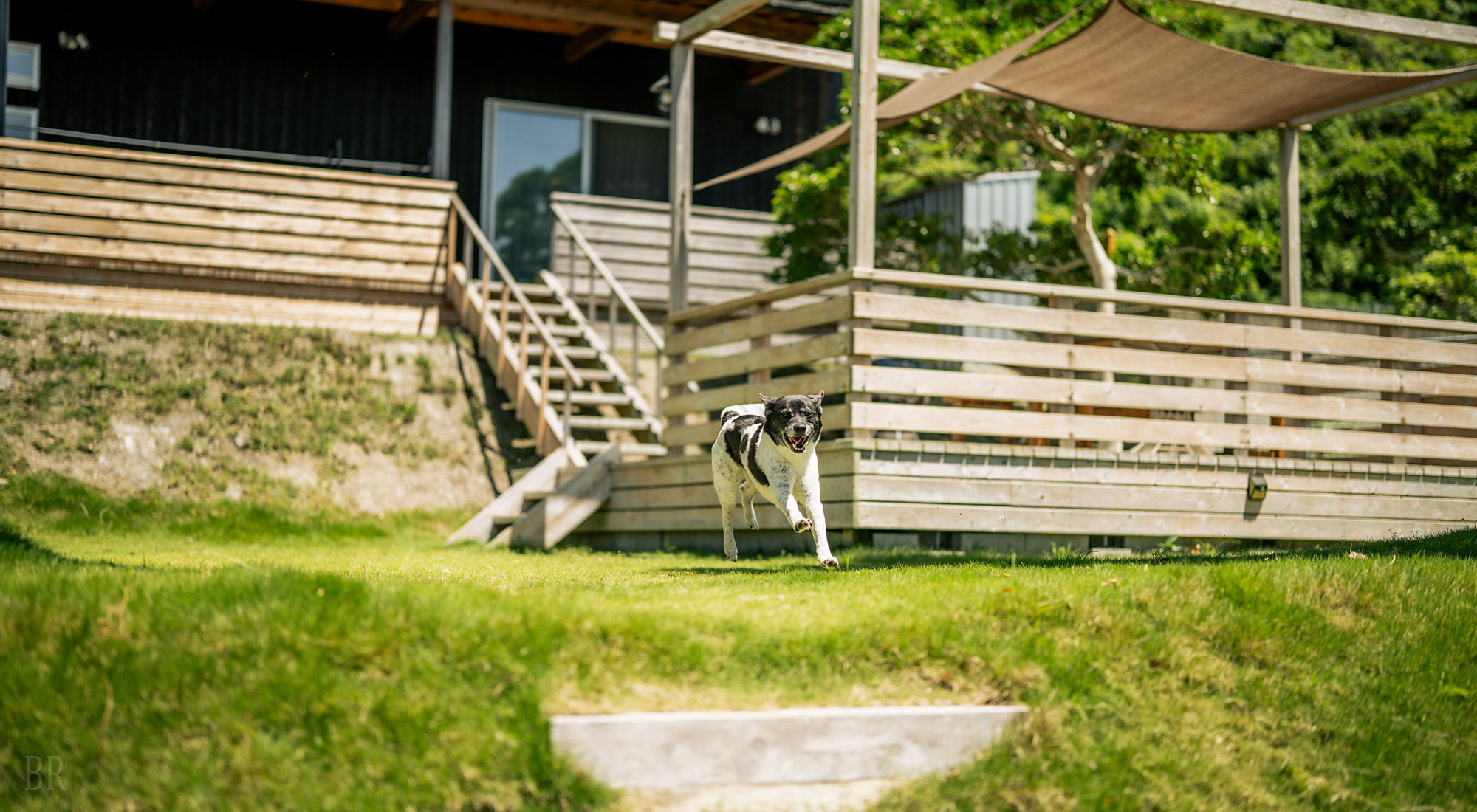 Naruto G house +dog(公式写真2)