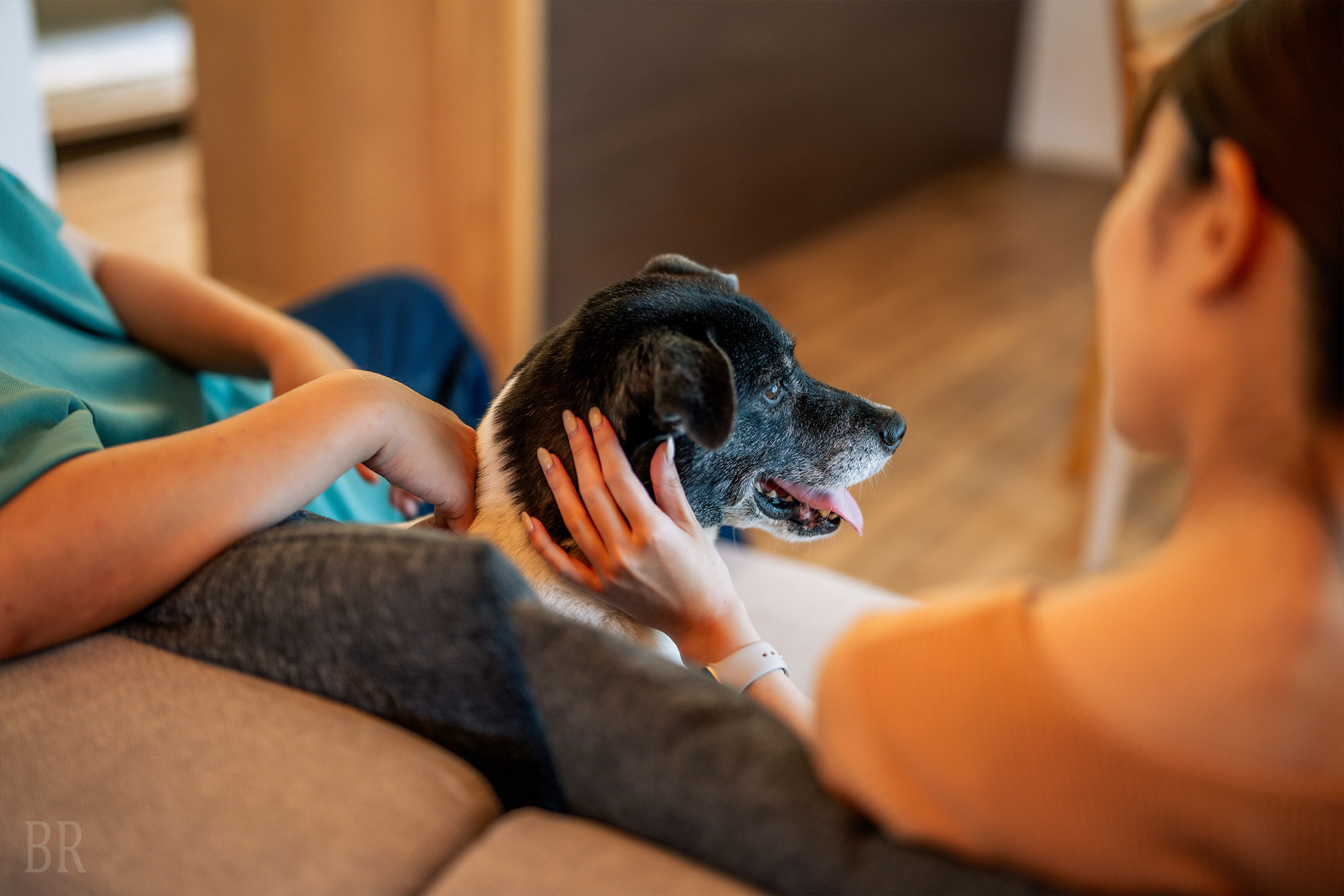 Naruto G house +dog(公式写真18)