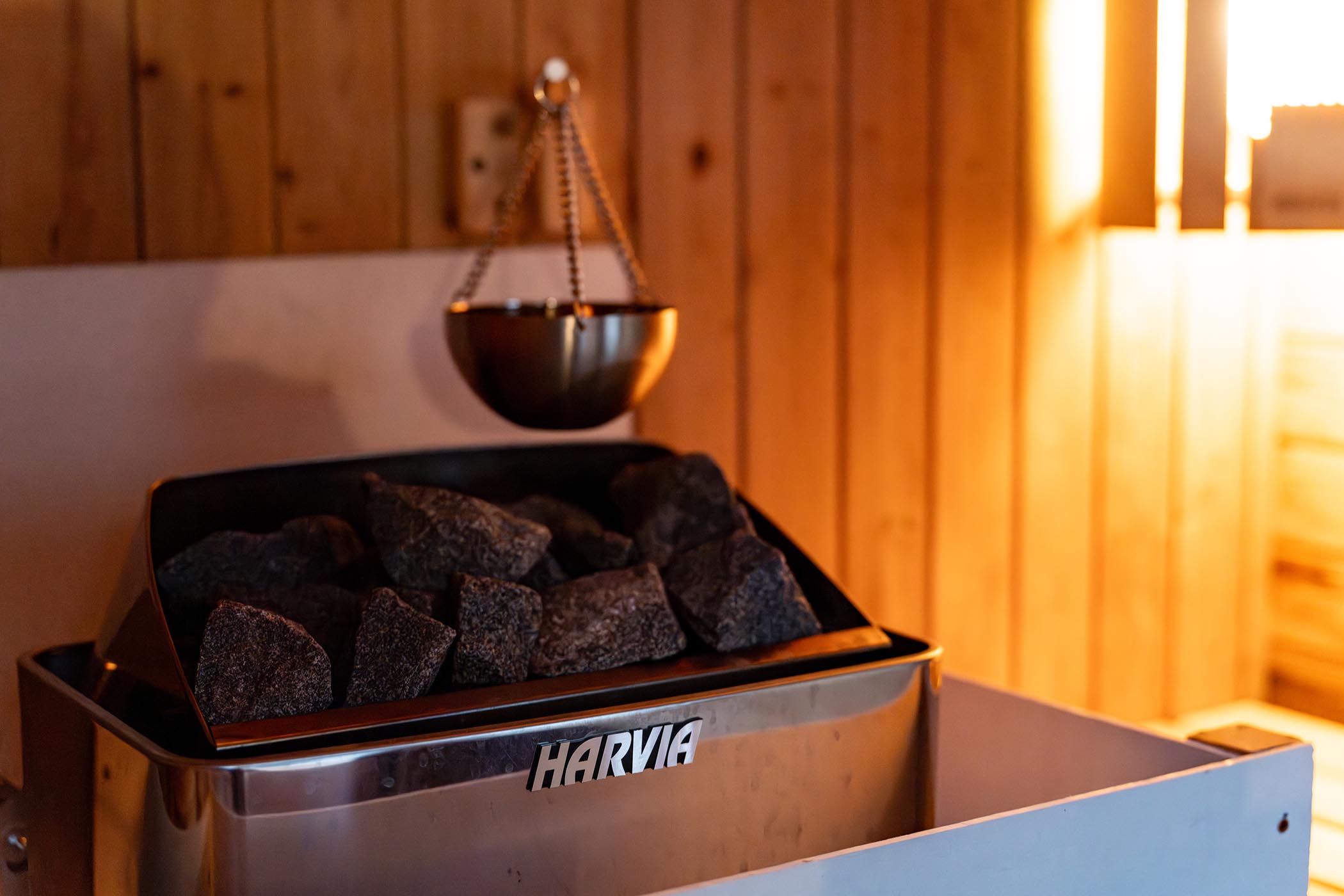 Pool de Sauna de DogRun(公式写真3)