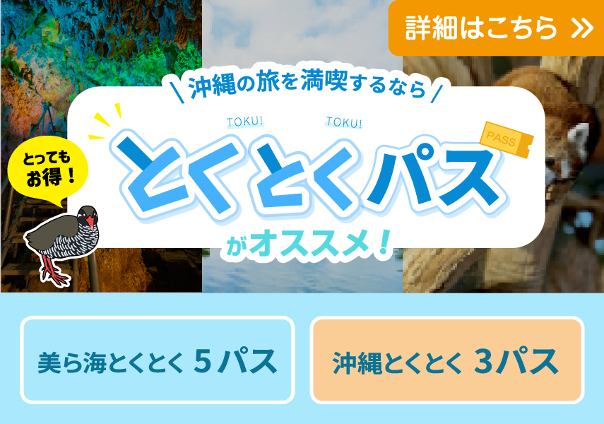 The Pool & Sauna Villa MOTOBU(公式写真9)