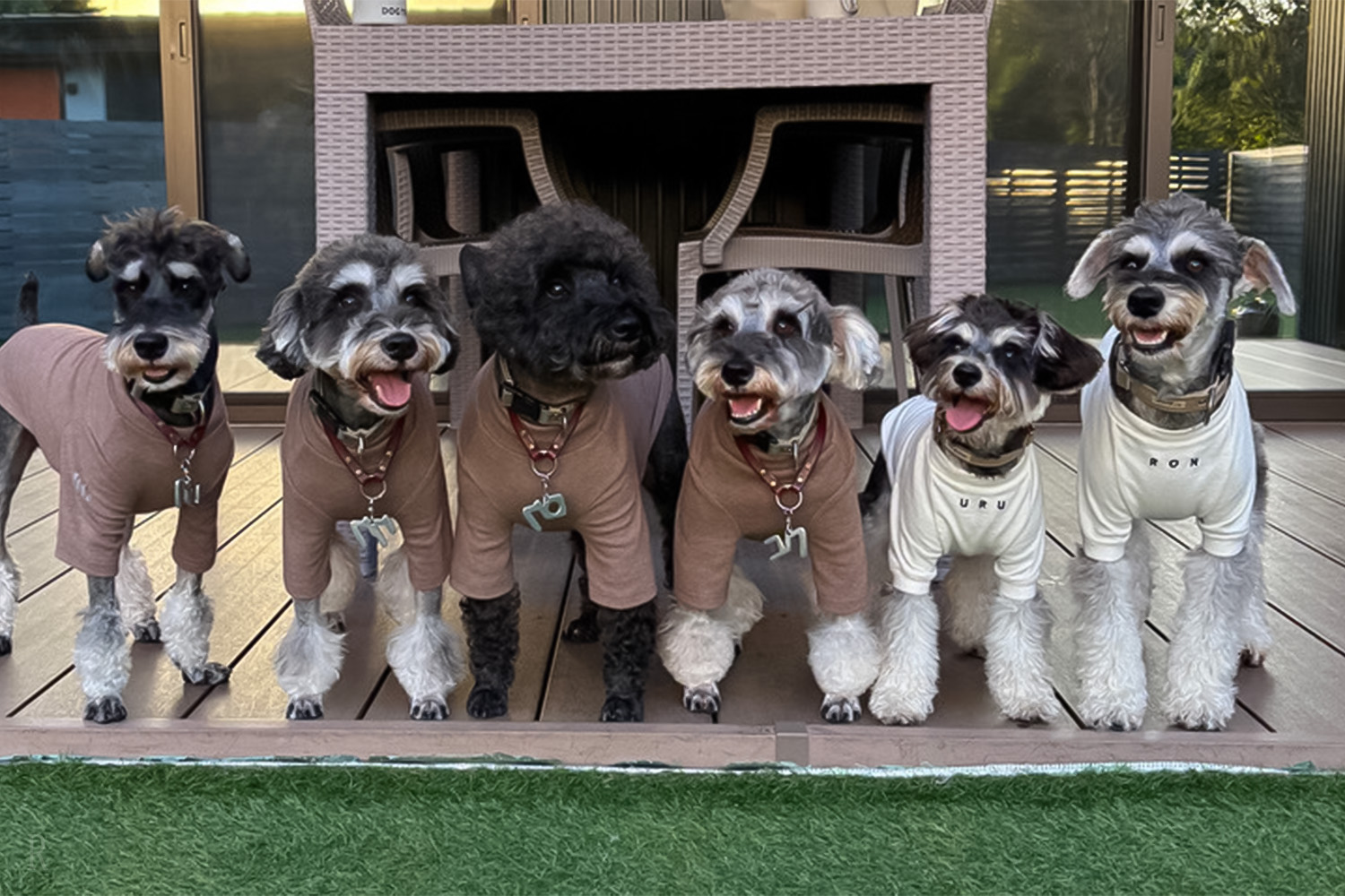 SIDE-BY-SIDE DOGCOTTAGE千葉一宮(公式写真10)