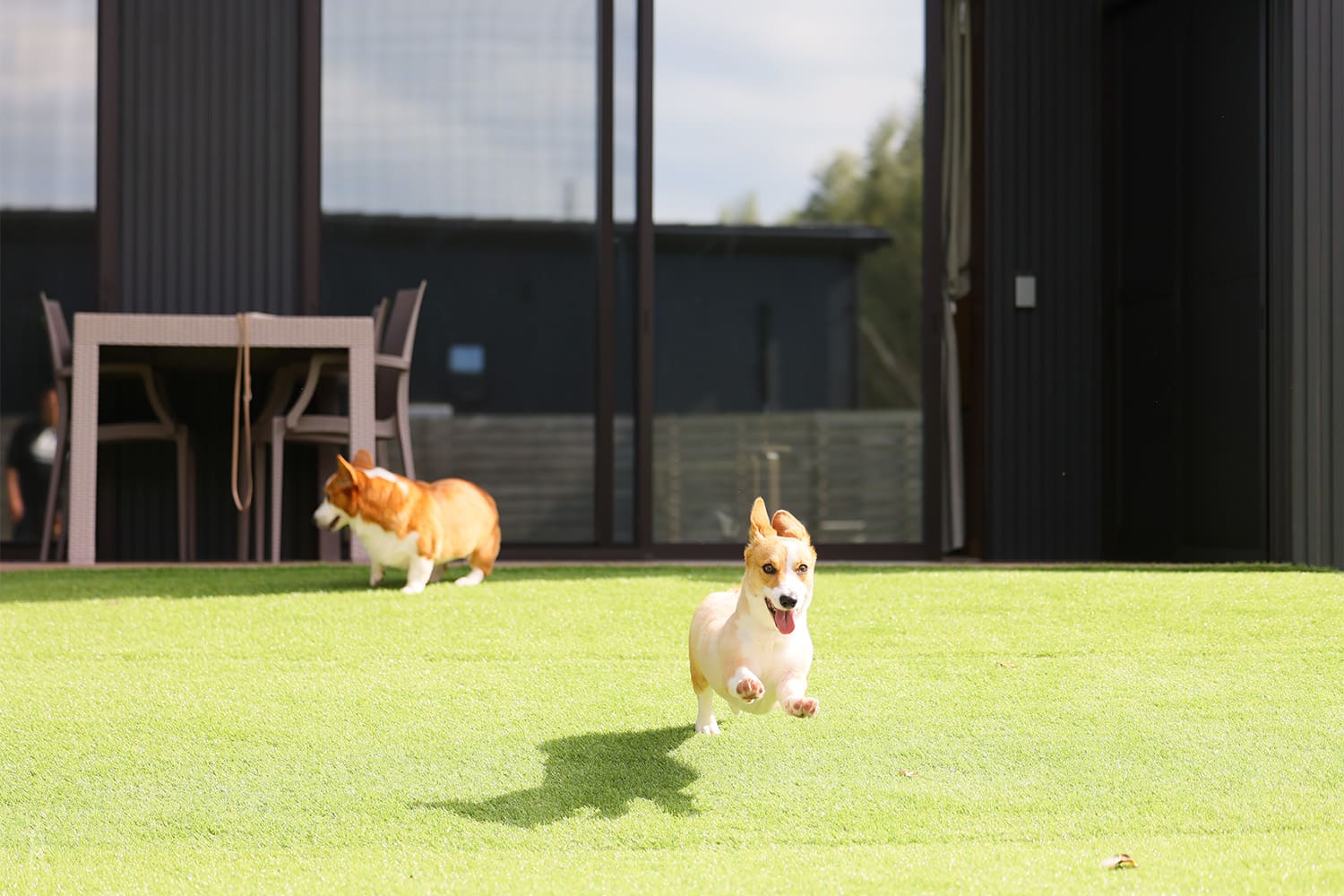 SIDE-BY-SIDE DOGCOTTAGE千葉一宮(公式写真13)