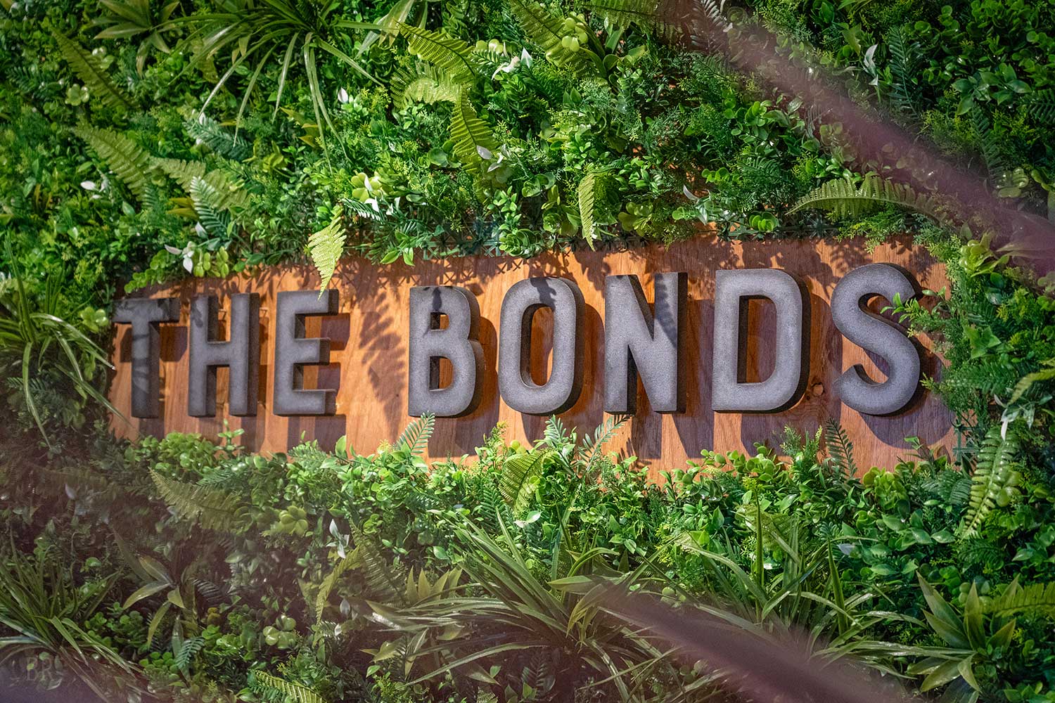 THE BONDS(公式写真22)