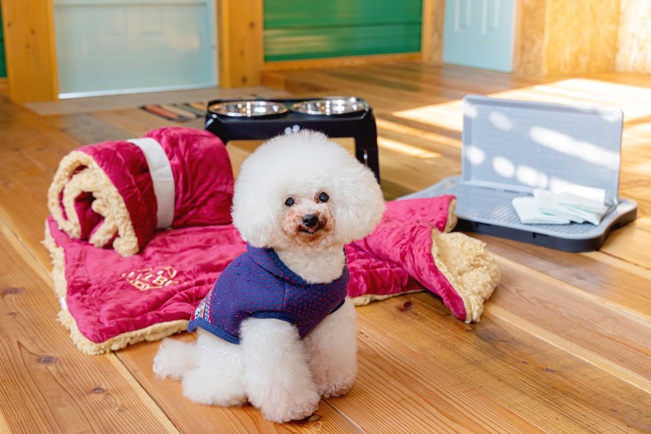 TORAMI surf&dogs OHANA(公式写真11)