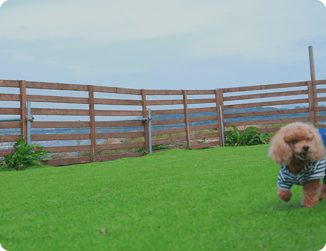 UKIUKI SEA RESORT(ウキウキシーリゾート)(公式写真21)