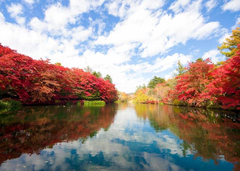 Villa Metsä KARUIZAWA(ヴィラメッサ軽井沢)(公式写真24)