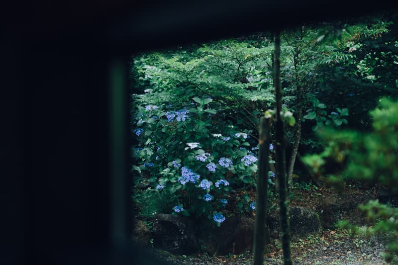 阿蘇くじゅう国立公園内の平屋ヴィラ 森寧 villa-monet(画像未取得)