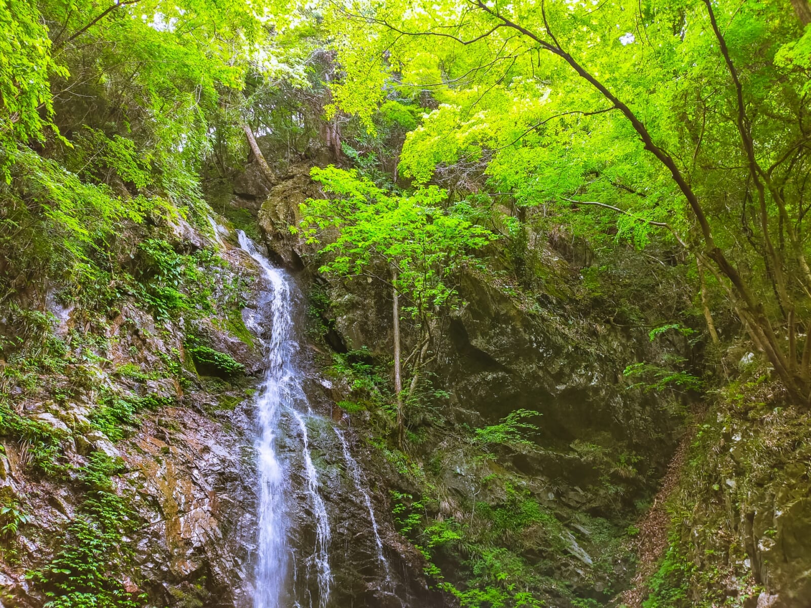 Private Ocean Villa 藍水 -ransui-(公式写真16)