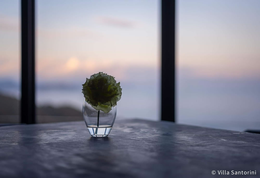 ヴィラ・サントリーニ(Villa Santorini)高知(公式写真4)