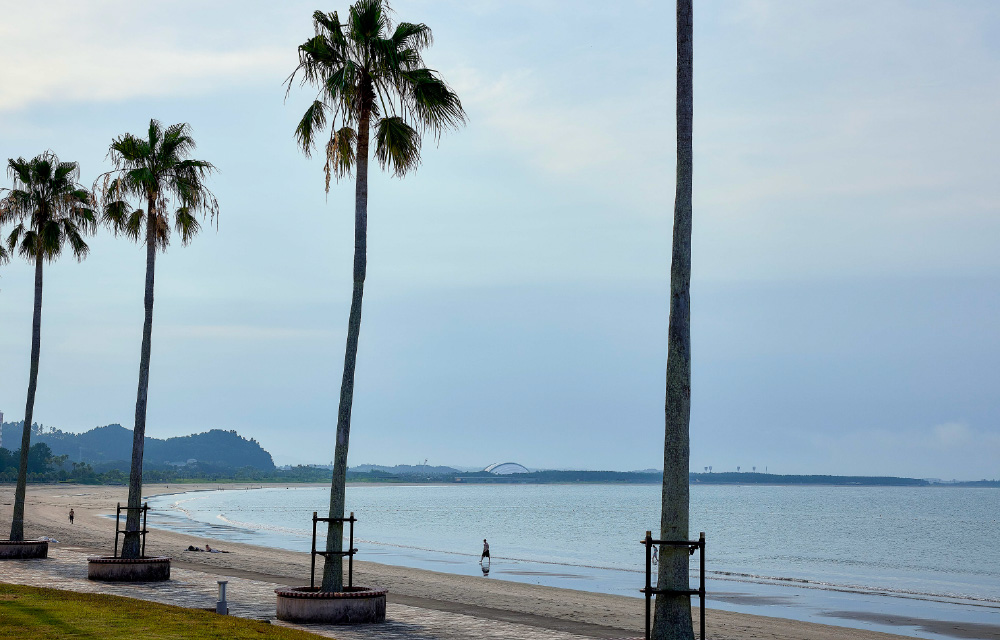 wanderlust, AOSHIMA(公式写真6)