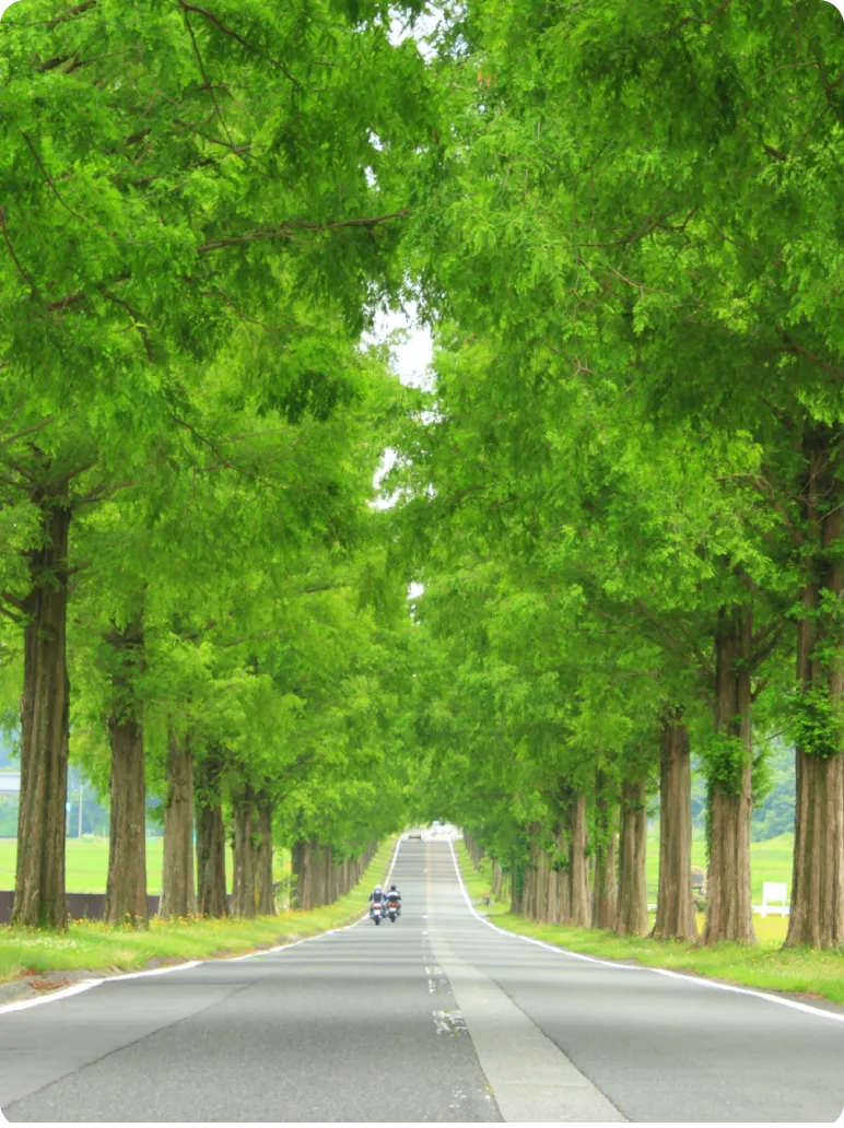 WASUKI BASE びわ湖 VILLA STYLE(公式写真7)
