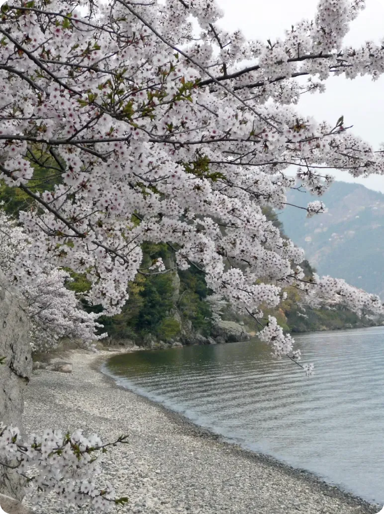 WASUKI BASE びわ湖 VILLA STYLE(公式写真9)
