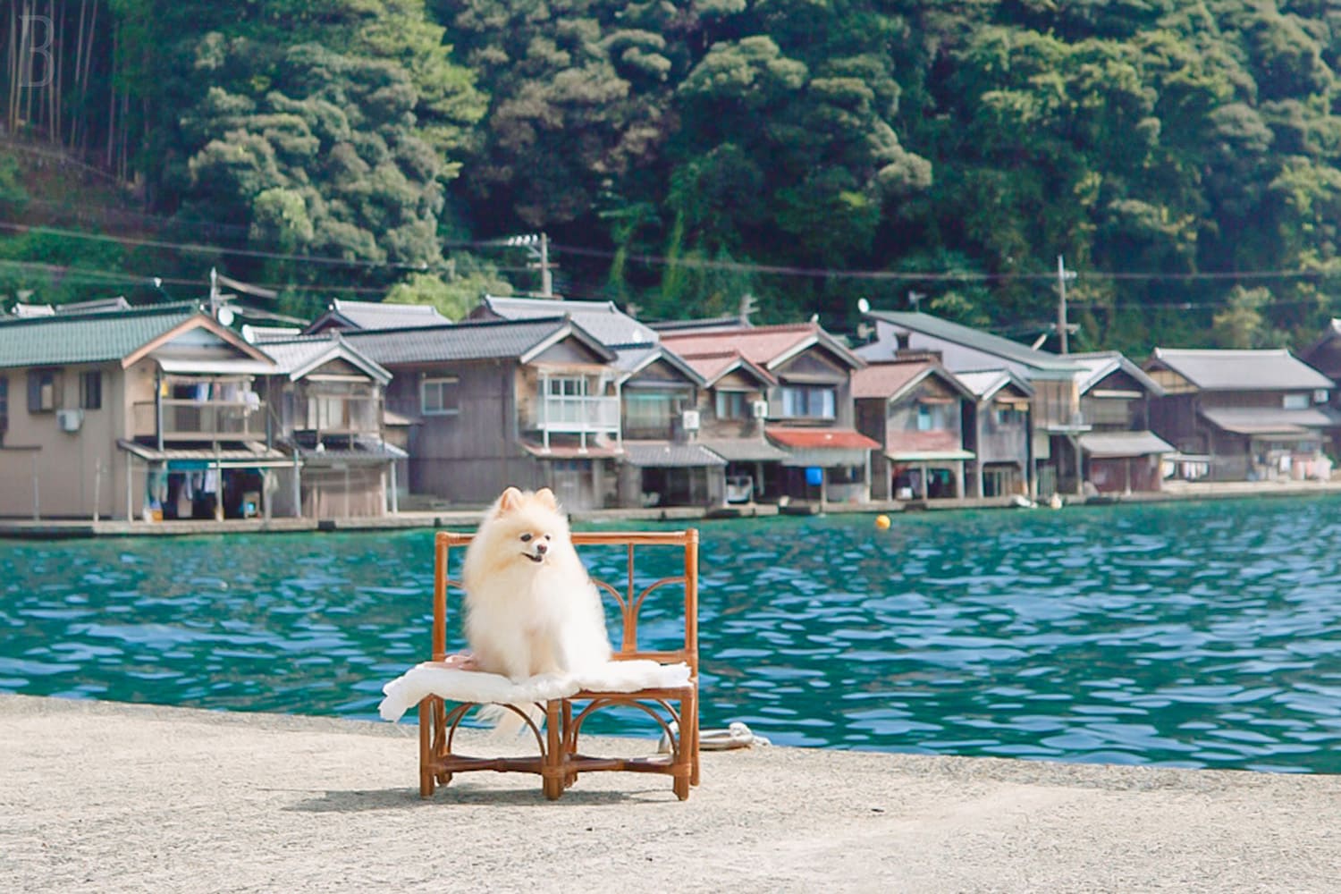 WatersEdge(公式写真19)