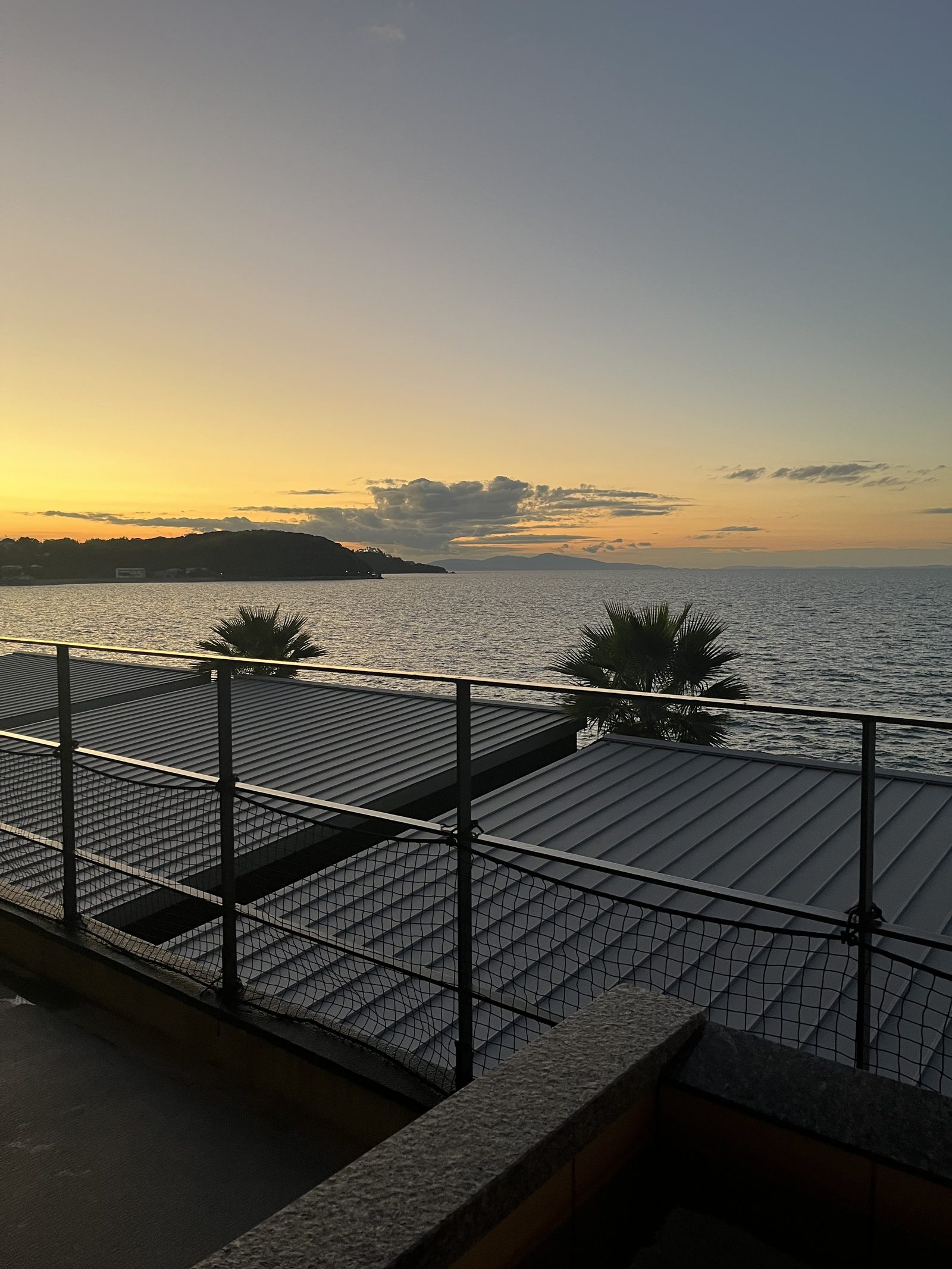 椰子のシルエット越しに見る、黄金色に染まる夕暮れの海